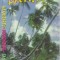 Caseta Banda Duck Latino &lrm;&ndash; Dance Latino Vol. 21, originala