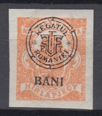 ROMANIA 1919 EMISIUNEA CLUJ EROARE TIMBRU PENTRU ZIARE CU BANI JOS IN LOC DE SUS GUMA ORIGINALA SARNIERA