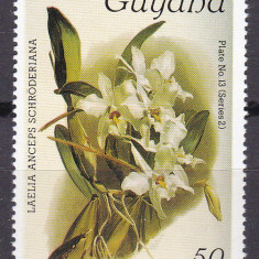 Guyana 1986 flori orhidee MI 1726 seria 17 MNH