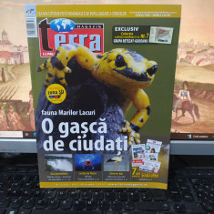 Terra Magazin nr. 3, mar. 2012, Niagara, Marile Lacuri, Barza albă, Retezat, 230