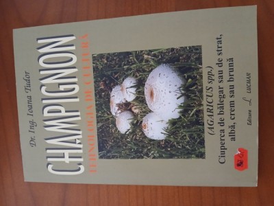 Champignon Tehnologia De Cultură-Dr Ing.Ioana Tudor. foto