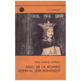 Petru Demetru Popescu - Radu de la Afumati, domn al Tarii Romanesti