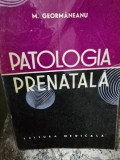 Patologia prenatala - M. Geormaneanu
