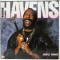 Vinil LP # Richie Havens &lrm;&ndash; Simple Things (NM)