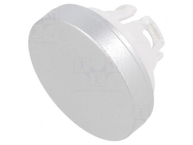 Lentilă Buton 22mm Aluminiu Natural