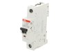 &Icirc;ntrerupător Supracurent ABB 25A 230VAC 220VDC 1 Pol - Cod 2CDS271061R0255