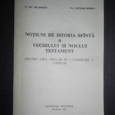 Ene Braniste - Notiuni de istoria sfanta a vechiului si noului testament (1991)