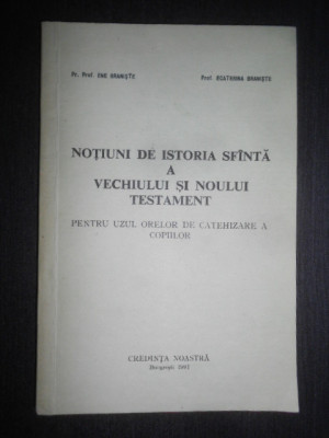 Ene Braniste - Notiuni de istoria sfanta a vechiului si noului testament (1991) foto