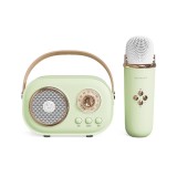 Aparat Karaoke Portabil iSEN C20 Plus, Verde, Microfon Wireless UHF, Bluetooth 5.0, Sunet HIFI, Anti-howling, Autonomie 2-4H, Aplicatii Multiple, Bate