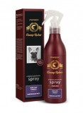 Cumpara ieftin Champ Richer Spray Stralucire, 250 ml
