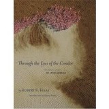 Through the eyes of the condor