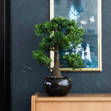 Emerald Ficus artificial mini bonsai, verde, 47 cm 420006 GartenMobel Dekor, vidaXL