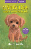 Catelusa care a fugit de acasa - Holly Webb