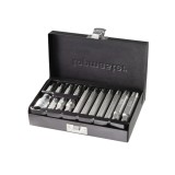 Set biti RIBE 15 piese M6-M14, 30/75 mm, cu adaptor 1/2 Top Master Pro