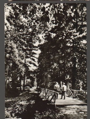 CPIB 21247 CARTE POSTALA - SIMERIA. PARCUL DENDROLOGIC, NECIRCULATA foto