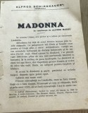 K. CRT Regalista - Lectura - Madonna