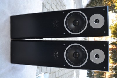 Boxe Eltax Evolution Power Tower Active foto