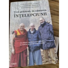 Christophe Andre, Alexandre Jollien, Matthieu Ricard - Trei prieteni, in cautarea intelepciunii