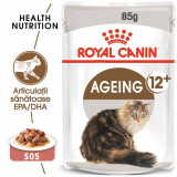 Royal Canin Ageing 12+ hrană umedă pisică senior (&icirc;n sos), 12 x 85g