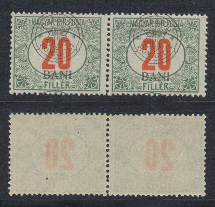 Emisiunea Cluj 1919 timbru porto 20 BANI eroare cu N drept in pereche cu timbru normal MNH