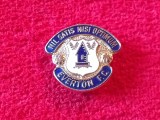 Insigna fotbal - FC EVERTON (Anglia)