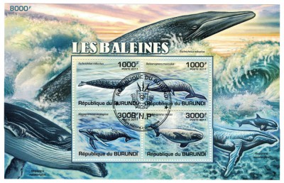 BURUNDI 2011 - Balene / colita foto