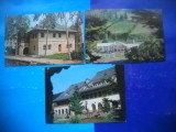 HOPCT LOT 2903 HANURI IN JUD SUCEAVA-3 CARTI POSTALE-CIRCULATE, Circulata, Printata
