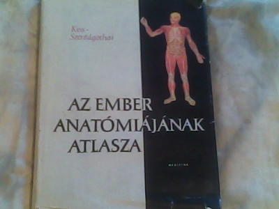 Az ember anatomiajanak atlasza-II-splanchnologia-glandulae endocrinales foto