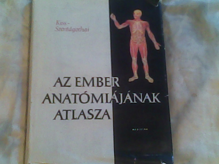 Az ember anatomiajanak atlasza-II-splanchnologia-glandulae endocrinales