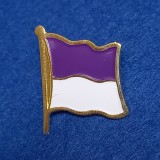 Insigna fotbal - POLITEHNICA TIMISOARA