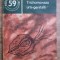 Traian Ciuca - Trichomonaza urogenitala