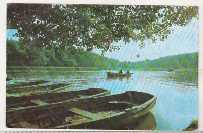 bnk cp Sibiu - Lacul din Dumbrava - uzata foto