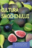 Cultura smochinului - Christoph Seiler - M.A.S.T