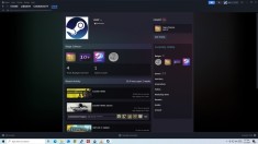 Cont Steam 19 ani, 26 games.