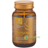 Cordyceps 500mg 60cps