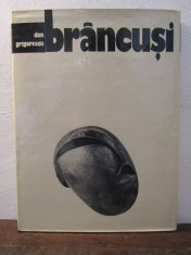 Brancu?i - Dan Grigorescu foto