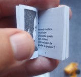 Carte minuscula de 3.5x2.5 cm, Diana Manaila Marandici, Da, 2013, 64 pag