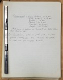 Manuscris Horia Lovinescu, &amp;amp,quot,Ultima Cursa&amp;amp,quot,