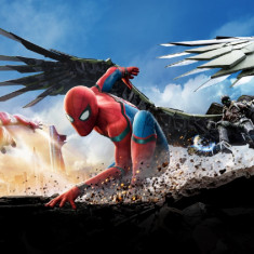 Fototapet Spiderman 2, 250 x 200 cm