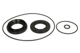 Garnitura tamburului de frana spate pentru HONDA TRX 420 2007-2013