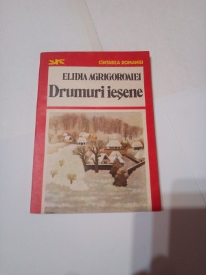 DRUMURI IESENE ~ ELIDIA AGRIGOROAIEI foto