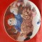 set 7 farfurii decorative din portelan # 215