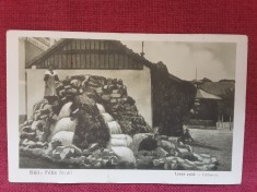 Baile Felix - Izvor cald - carte postala interbelica necirculata foto