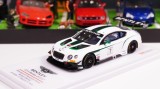 Bentley GT3 "Nr.7 Blancpain GT Silverstone Winner" - TSM 1/43