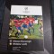 program Steaua - Widzew Lodz