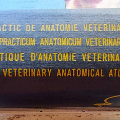 Atlas practic de anatomie veterinara - Eugeniu Pastea