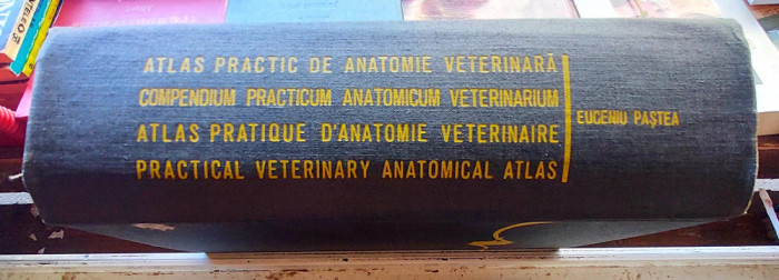 Atlas practic de anatomie veterinara - Eugeniu Pastea
