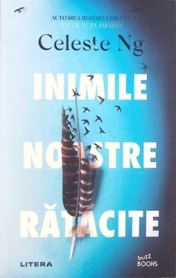 INIMILE NOASTRE RATACITE-CELESTE NG-269955 foto