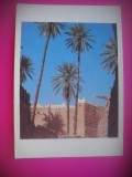 HOPCT 6597 ASPECTE DIN LIBIA -AFRICA-CIRCULATA