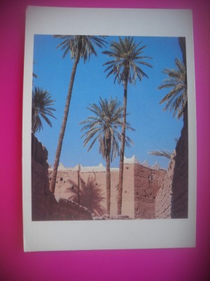 HOPCT 6597 ASPECTE DIN LIBIA -AFRICA-CIRCULATA foto